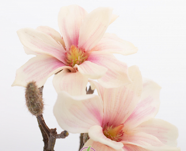 Aranjament magnolia artificiala crem-roz - 23 cm