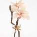 Aranjament magnolia artificiala crem-roz - 23 cm